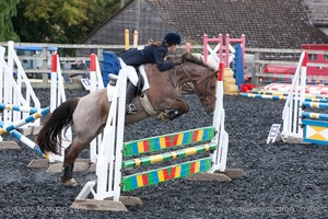 Class 6 - Fences not above 2'9